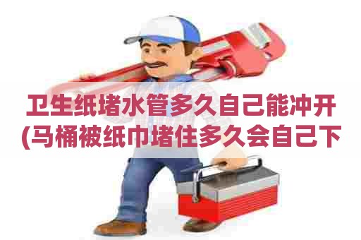 卫生纸堵水管多久自己能冲开(马桶被纸巾堵住多久会自己下去)