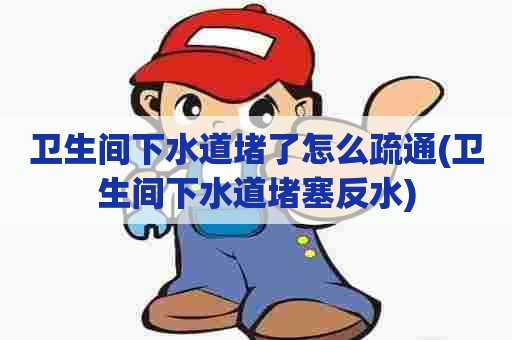 卫生间下水道堵了怎么疏通(卫生间下水道堵塞反水)