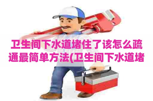 卫生间下水道堵住了该怎么疏通最简单方法(卫生间下水道堵了疏通窍门图片)