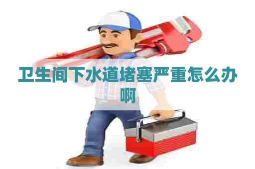 卫生间下水道堵塞严重怎么办啊