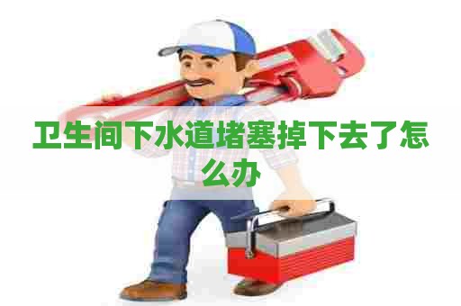 卫生间下水道堵塞掉下去了怎么办 卫生间下水道堵塞掉下去了怎么办