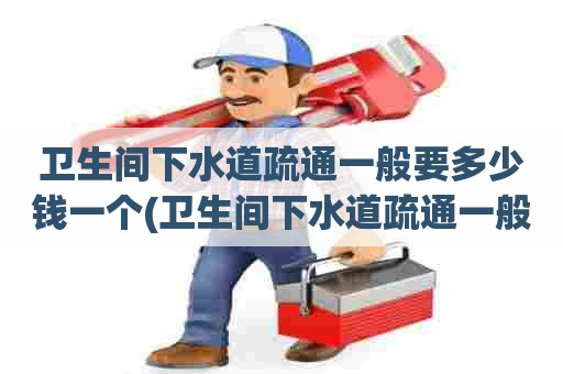 卫生间下水道疏通一般要多少钱一个(卫生间下水道疏通一般要多少钱呢)