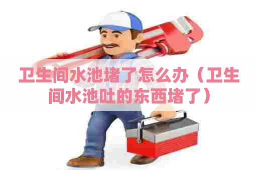 卫生间水池堵了怎么办（卫生间水池吐的东西堵了）