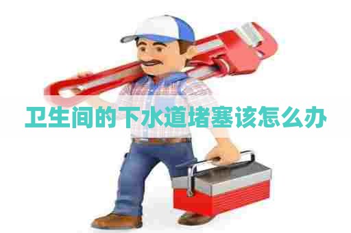 卫生间的下水道堵塞该怎么办