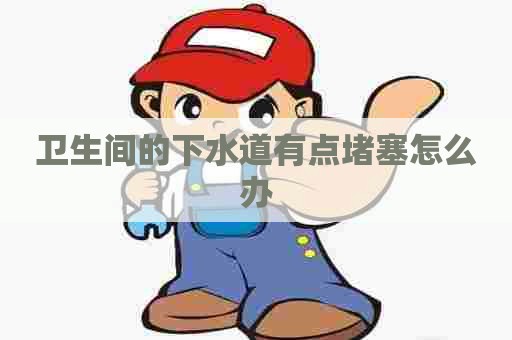 卫生间的下水道有点堵塞怎么办