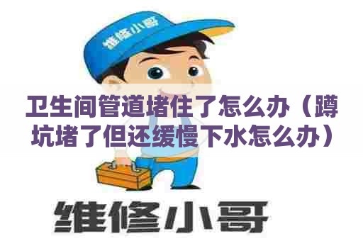 卫生间管道堵住了怎么办（蹲坑堵了但还缓慢下水怎么办）