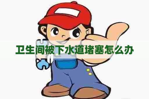 卫生间被下水道堵塞怎么办