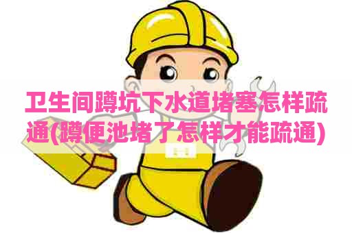 卫生间蹲坑下水道堵塞怎样疏通(蹲便池堵了怎样才能疏通) 卫生间蹲坑下水道堵塞怎样疏通(蹲便池堵了怎样才能疏通)