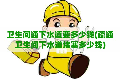 卫生间通下水道要多少钱(疏通卫生间下水道堵塞多少钱)