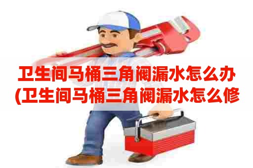卫生间马桶三角阀漏水怎么办(卫生间马桶三角阀漏水怎么修) 卫生间马桶三角阀漏水怎么办(卫生间马桶三角阀漏水怎么修)