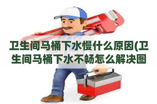 卫生间马桶下水慢什么原因(卫生间马桶下水不畅怎么解决图片) 卫生间马桶下水慢什么原因(卫生间马桶下水不畅怎么解决图片)