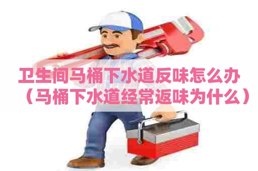 卫生间马桶下水道反味怎么办（马桶下水道经常返味为什么）