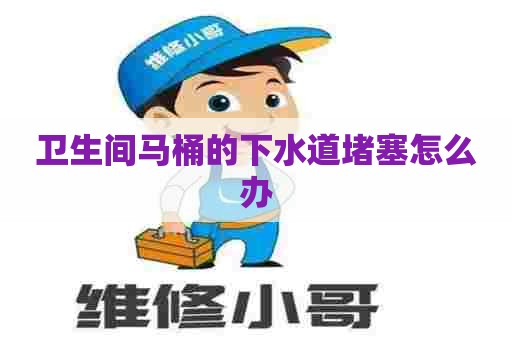 卫生间马桶的下水道堵塞怎么办