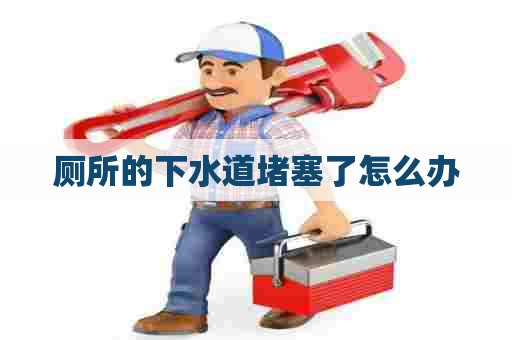 厕所的下水道堵塞了怎么办