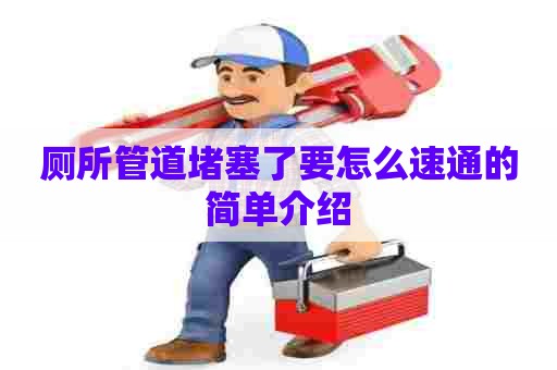 厕所管道堵塞了要怎么速通的简单介绍