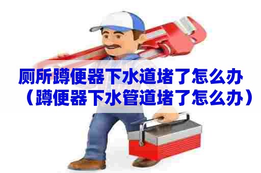 厕所蹲便器下水道堵了怎么办(蹲便器下水管道堵了怎么办) 厕所蹲便器下水道堵了怎么办(蹲便器下水管道堵了怎么办)