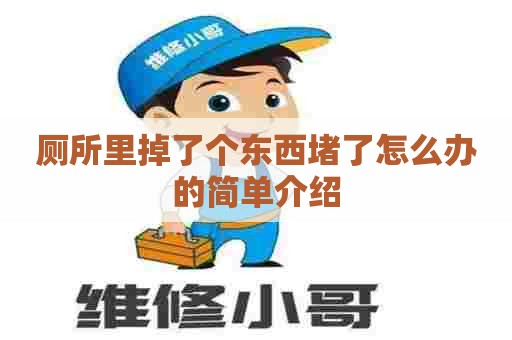厕所里掉了个东西堵了怎么办的简单介绍 厕所里掉了个东西堵了怎么办的简单介绍