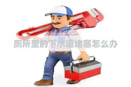 厕所里的下水道堵塞怎么办