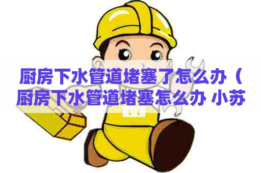 厨房下水管道堵塞了怎么办（厨房下水管道堵塞怎么办 小苏打）