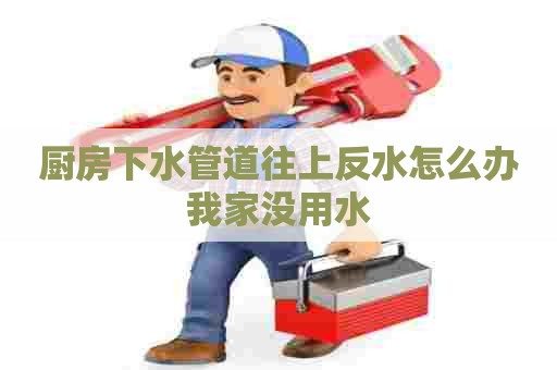 厨房下水管道往上反水怎么办我家没用水 厨房下水管道往上反水怎么办我家没用水