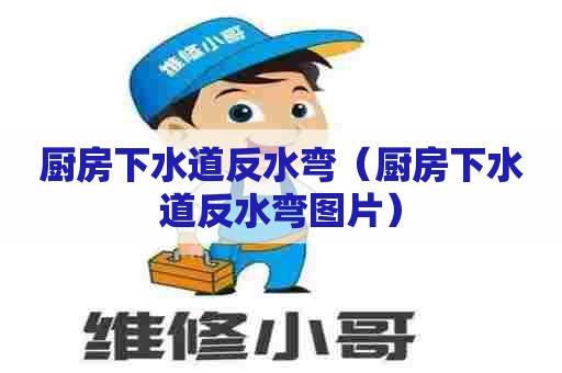 厨房下水道反水弯（厨房下水道反水弯图片）