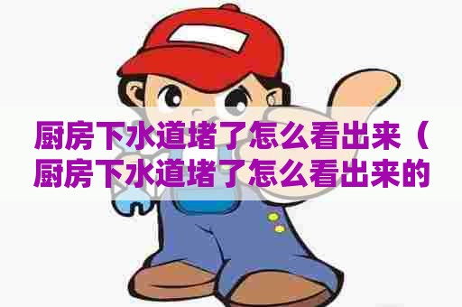 厨房下水道堵了怎么看出来(厨房下水道堵了怎么看出来的) 厨房下水道堵了怎么看出来(厨房下水道堵了怎么看出来的)