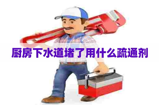 厨房下水道堵了用什么疏通剂 厨房下水道堵了用什么疏通剂