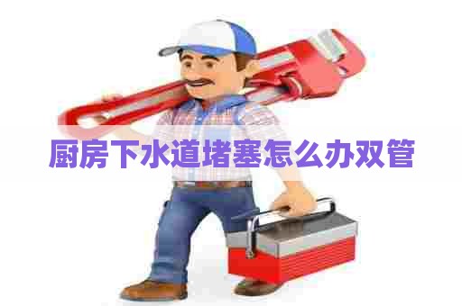 厨房下水道堵塞怎么办双管 厨房下水道堵塞怎么办双管