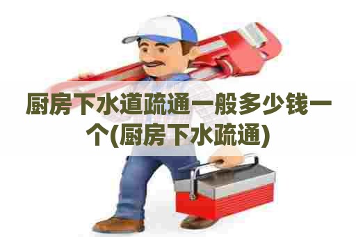 厨房下水道疏通一般多少钱一个(厨房下水疏通)