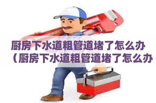 厨房下水道粗管道堵了怎么办(厨房下水道粗管道堵了怎么办视频) 厨房下水道粗管道堵了怎么办(厨房下水道粗管道堵了怎么办视频)