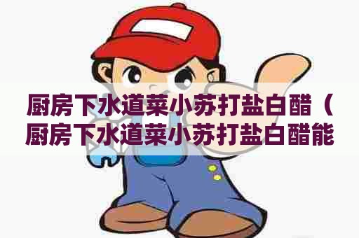 厨房下水道菜小苏打盐白醋(厨房下水道菜小苏打盐白醋能杀菌吗) 厨房下水道菜小苏打盐白醋(厨房下水道菜小苏打盐白醋能杀菌吗)