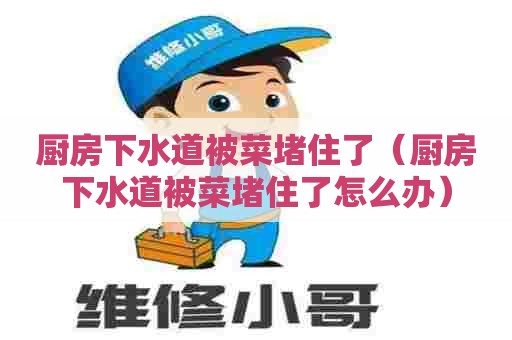 厨房下水道被菜堵住了（厨房下水道被菜堵住了怎么办）