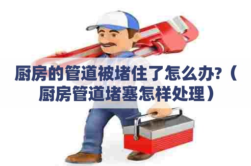 厨房的管道被堵住了怎么办?(厨房管道堵塞怎样处理) 厨房的管道被堵住了怎么办?(厨房管道堵塞怎样处理)
