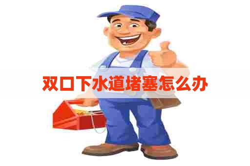 双口下水道堵塞怎么办
