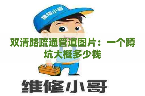 双清路疏通管道图片:一个蹲坑大概多少钱 双清路疏通管道图片:一个蹲坑大概多少钱