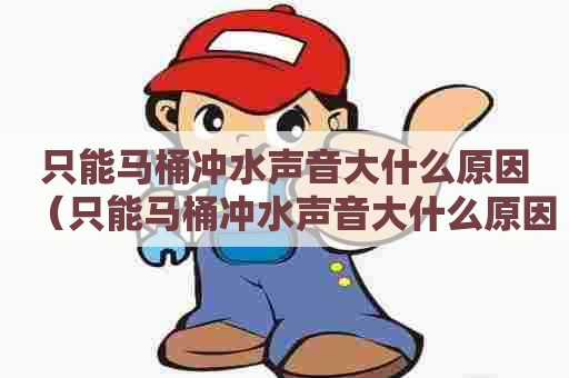 只能马桶冲水声音大什么原因（只能马桶冲水声音大什么原因呢）