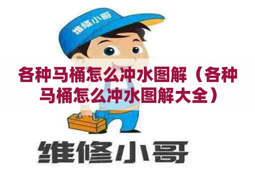 各种马桶怎么冲水图解（各种马桶怎么冲水图解大全）