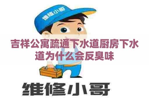 吉祥公寓疏通下水道厨房下水道为什么会反臭味