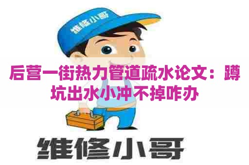 后营一街热力管道疏水论文:蹲坑出水小冲不掉咋办 后营一街热力管道疏水论文:蹲坑出水小冲不掉咋办