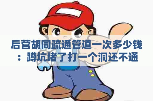 后营胡同疏通管道一次多少钱:蹲坑堵了打一个洞还不通 后营胡同疏通管道一次多少钱:蹲坑堵了打一个洞还不通