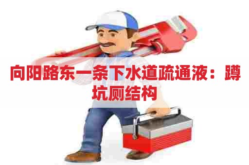 向阳路东一条下水道疏通液:蹲坑厕结构 向阳路东一条下水道疏通液:蹲坑厕结构