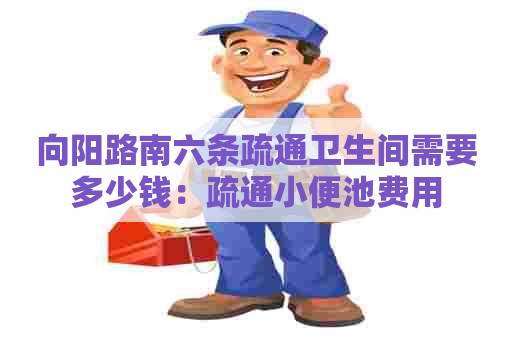 向阳路南六条疏通卫生间需要多少钱：疏通小便池费用