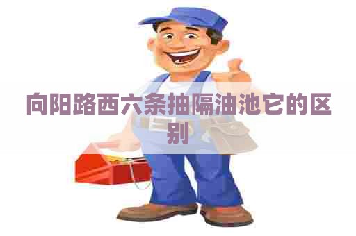 向阳路西六条抽隔油池它的区别