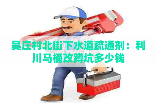 吴庄村北街下水道疏通剂：利川马桶改蹲坑多少钱