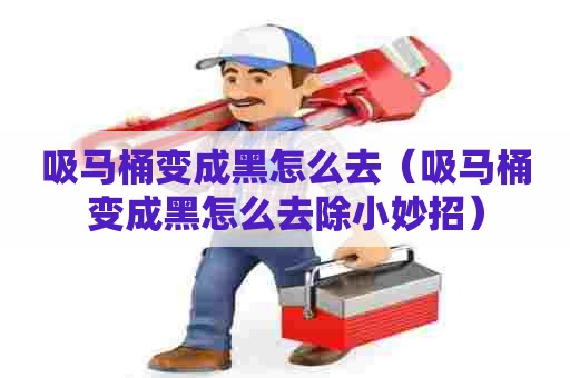 吸马桶变成黑怎么去（吸马桶变成黑怎么去除小妙招）