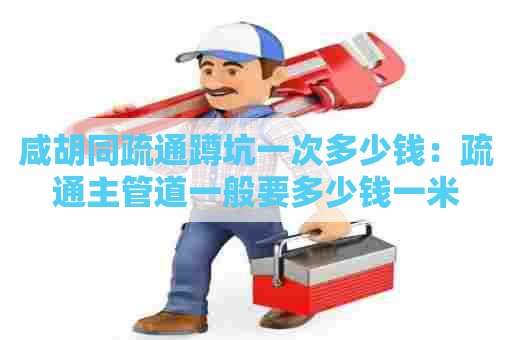 咸胡同疏通蹲坑一次多少钱：疏通主管道一般要多少钱一米