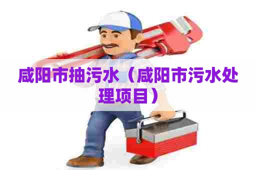 咸阳市抽污水（咸阳市污水处理项目）