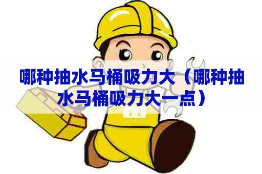 哪种抽水马桶吸力大（哪种抽水马桶吸力大一点）