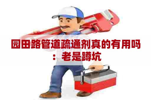 园田路管道疏通剂真的有用吗：老是蹲坑