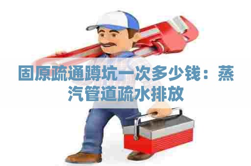 固原疏通蹲坑一次多少钱：蒸汽管道疏水排放